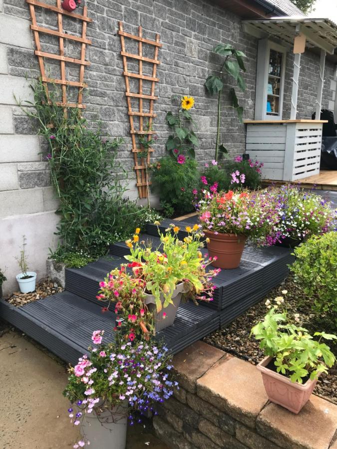 Willow Tree Cottage 格拉斯劳 外观 照片